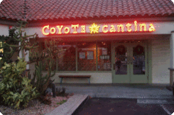 coyotae-cantina