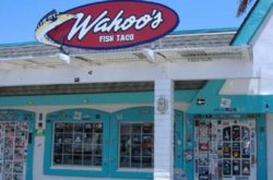 wahoos-fish-taco